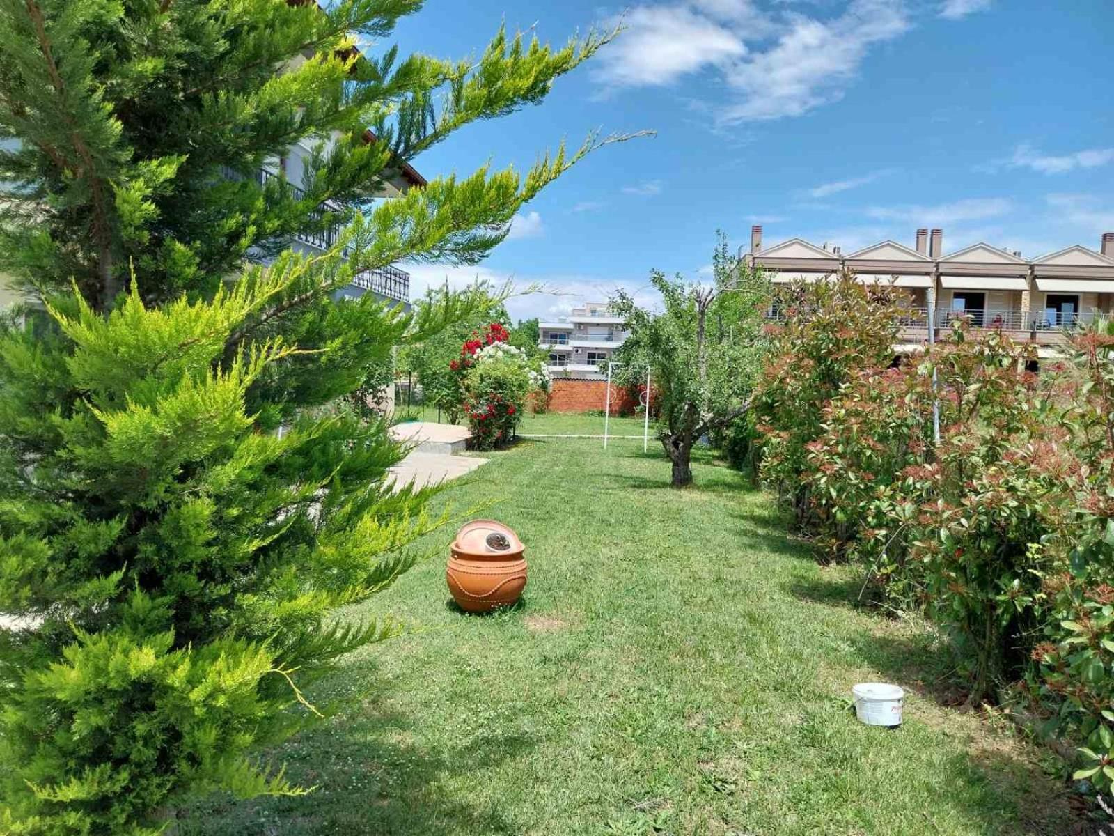 Apartment Erofilio