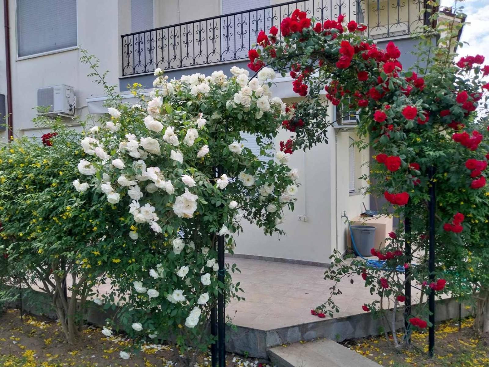 Apartment Erofilio *